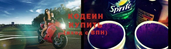 спиды Вяземский