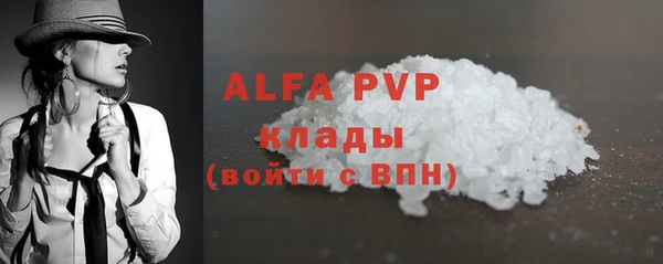 спиды Вяземский