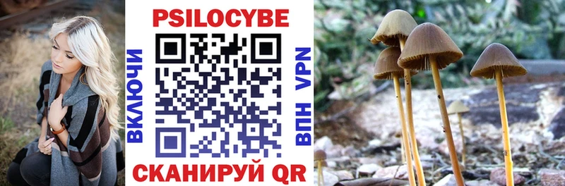Псилоцибиновые грибы мухоморы  Купить где  Новопавловск 